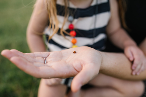 Hawaii Family Portrait Photographer
